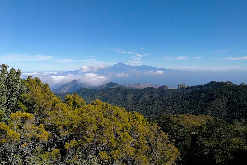 Garajonay National Park Viewpoint in La Gomera